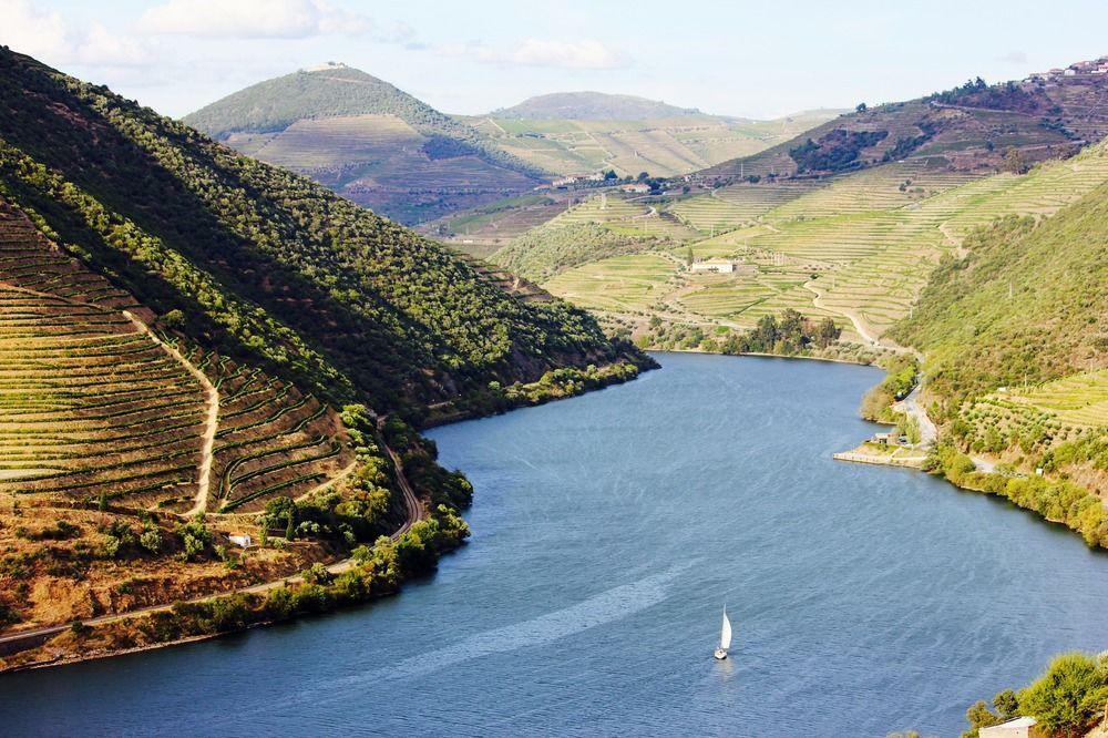 Six Senses Douro Valley Lamego Exteriör bild