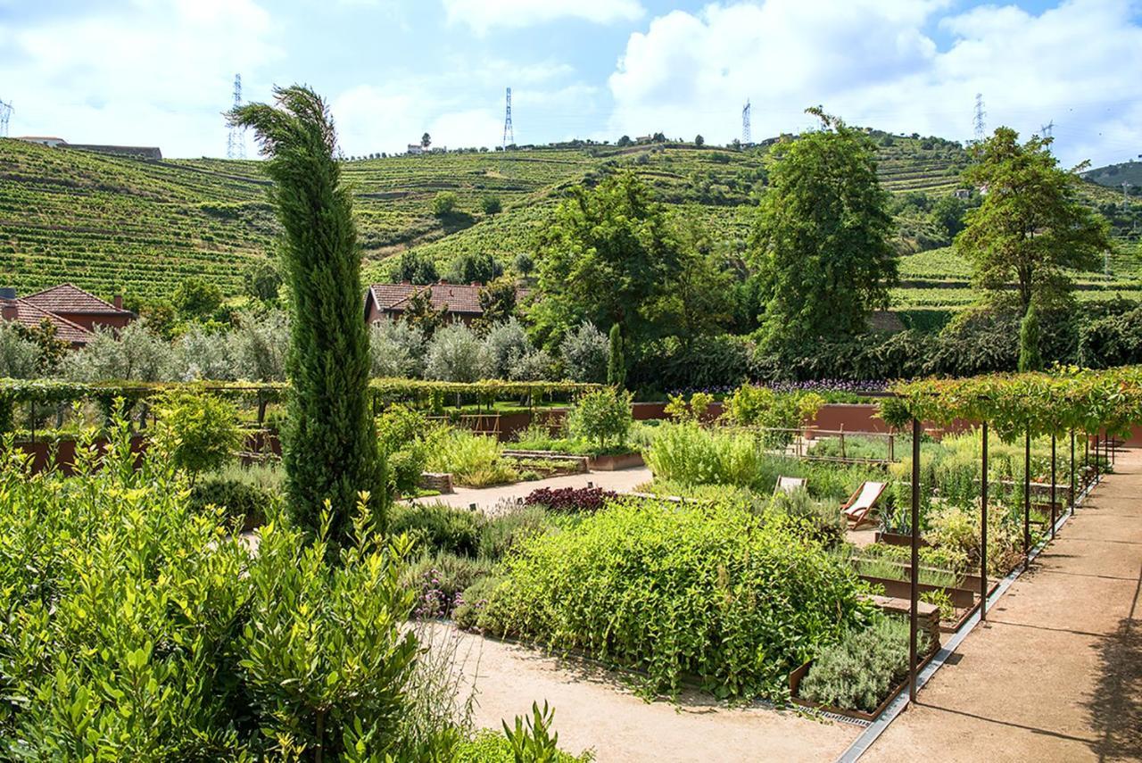 Six Senses Douro Valley Lamego Exteriör bild